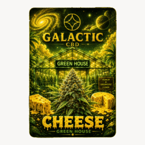 CHEESE CBD - GREEN HOUSE