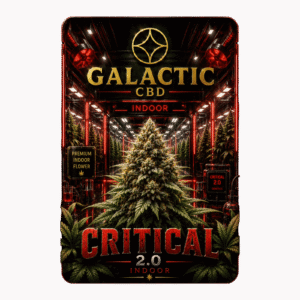 CRITICAL 2.0 CBD - INDOOR HYDRO