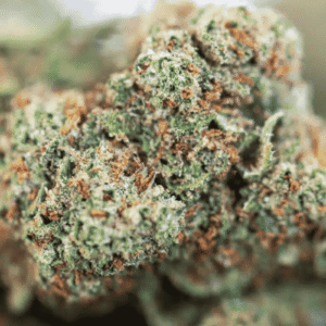 GROS PLAN ZKITTLEZ CBD - GLASS HOUSE